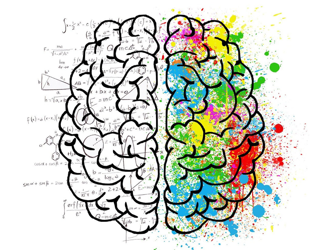 Psychological Effects of Car Interior Lighting Colours: A Comprehensive Analysis